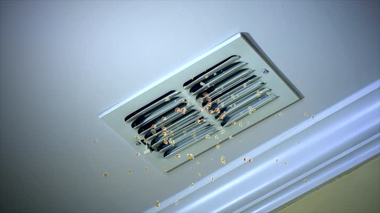 Best Air Duct Cleaning Near Me  in Buena, NJ